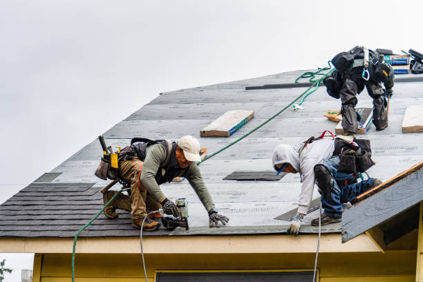 Professional Emergency Roof Repair technician working in Otego, NY